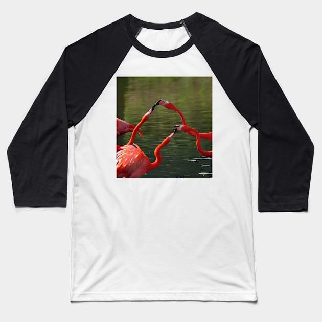 American Flamingo at the Zoo Baseball T-Shirt by DesignMore21